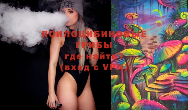 МДПВ Липки