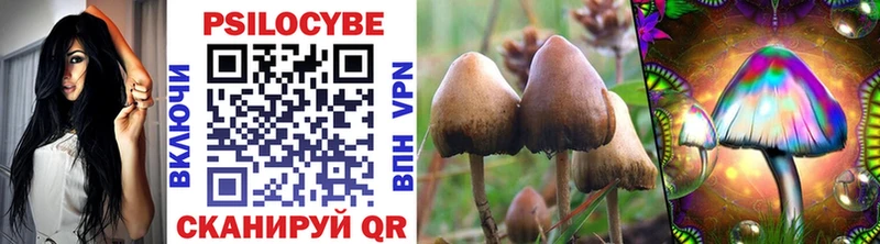 ОМГ ОМГ как зайти Рязань Галлюциногенные грибы Psilocybe
