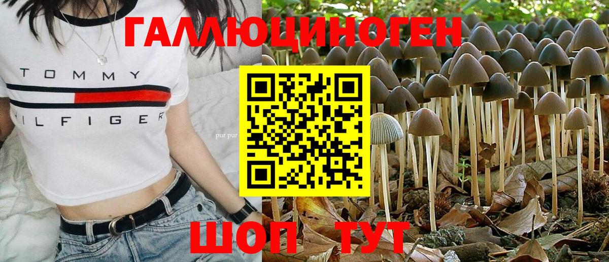 Рязань  Псилоцибиновые грибы Cubensis  наркошоп  Вход с VPN 